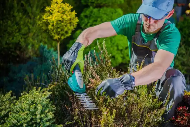 landscaping services Eastpointe